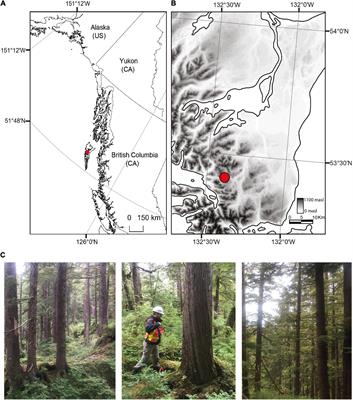 Contrasting Impacts of Climate Warming on Coastal Old-Growth Tree Species Reveal an Early Warning of Forest Decline